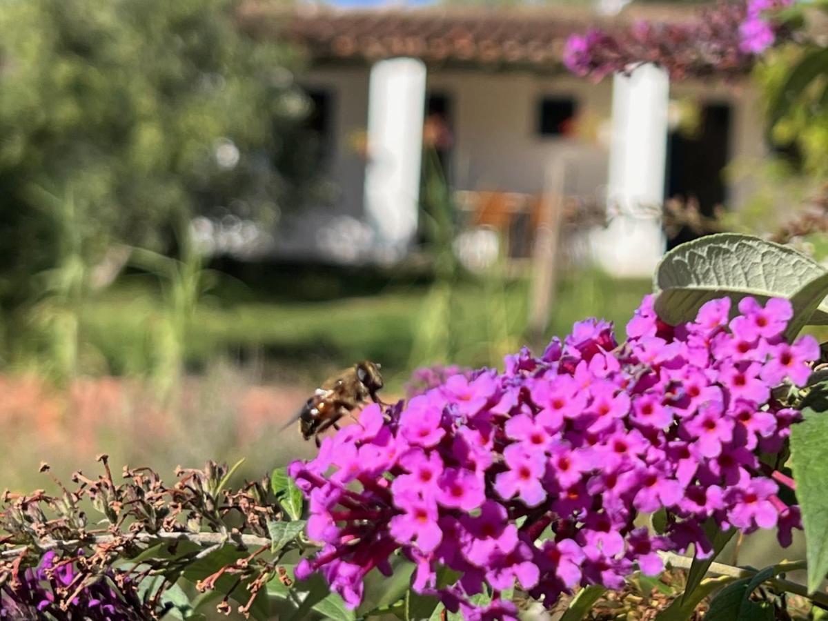 Camping Bungalows Armalygal Murillo de Gallego Exterior photo